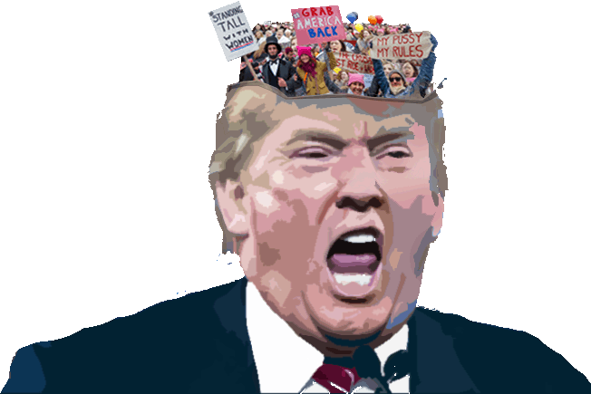 Women's March against Trump, Collage